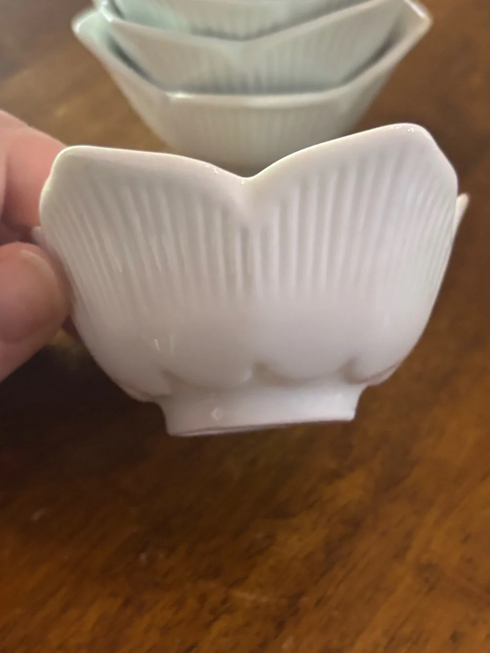 Pier 1 White Porcelain Lotus Tulip Serving Condiment Dishes Bowls Set of 6 EUC